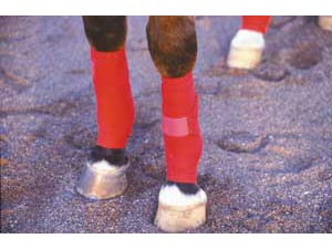 Aerborn Polo Bandages