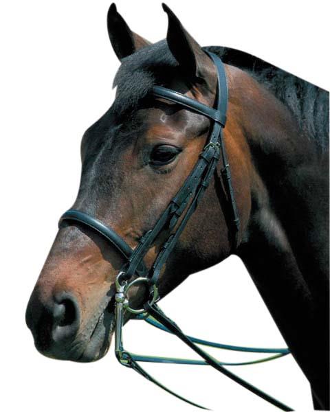 Kincade Raised Weymouth Bridle