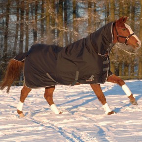 Masta Avante 340 Fixed Neck Turnout Rug NEW!