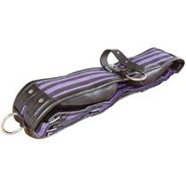 Lunge Roller