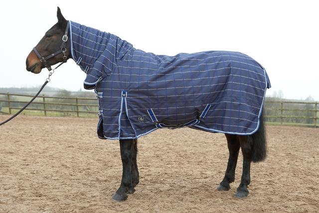 Sherwood Forest Ascot 300 Turnout Rug Combo 40% off!