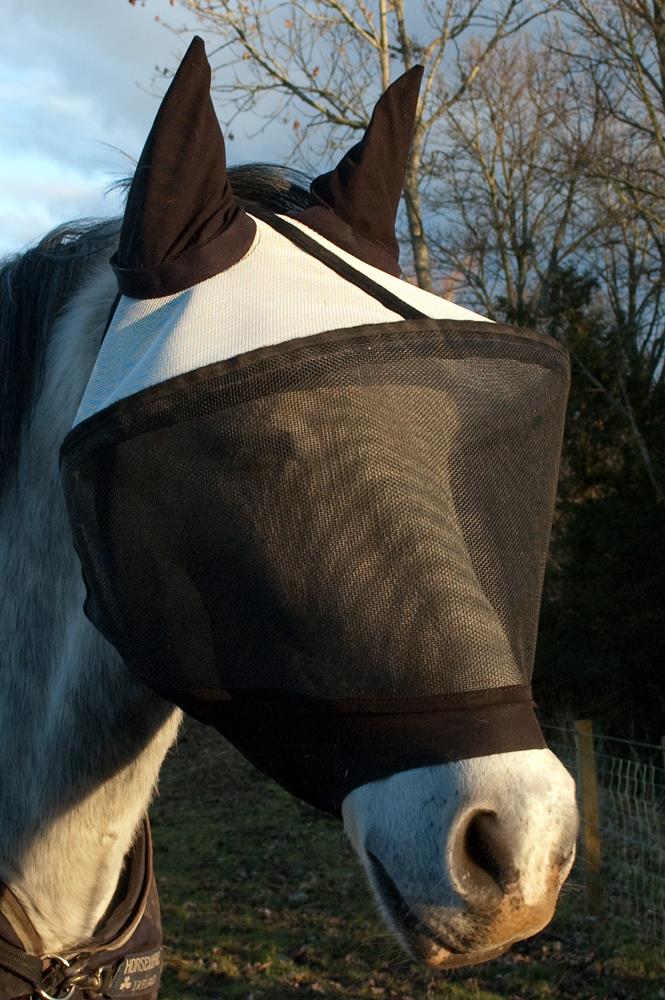 About Tack Fly Visor