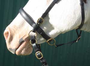 Light Rider Bitless Noseband (Bitless Bridle)