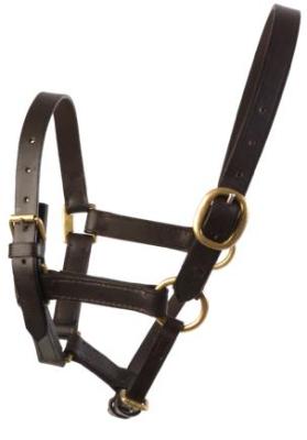 JHL Foal Fully Adjustable Leather Headcollar