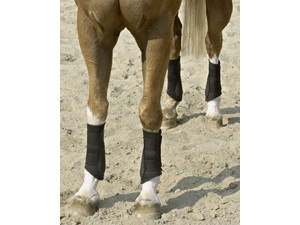 Equilibrium Tri-Zone Brushing Boots