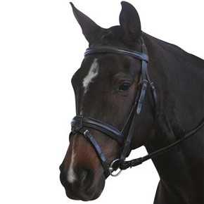 New Kincade Padded Headpiece Flash Bridle with Reins