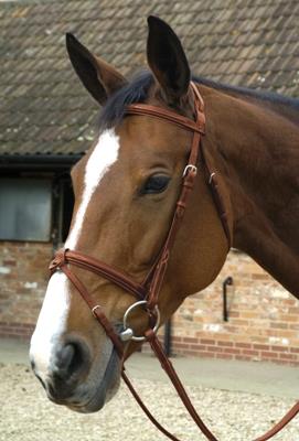 Mark Todd Deluxe Bridle with Crank Noseband