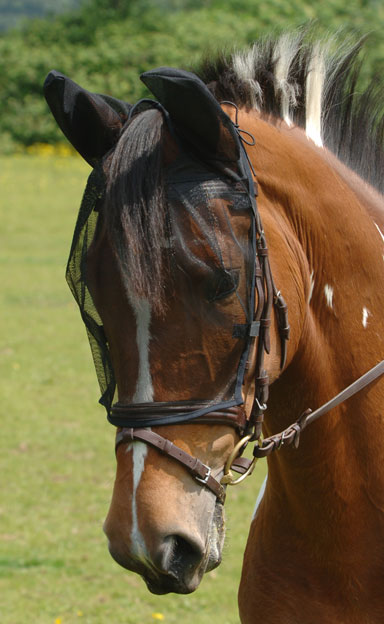 Net Relief Riding Mask