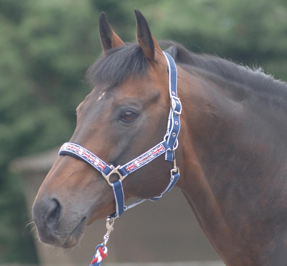 Cottage Craft Union Jack Headcollar & Lead Rope
