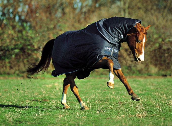 Horseware Amigo 1200d Plus Medium Turnout Rug