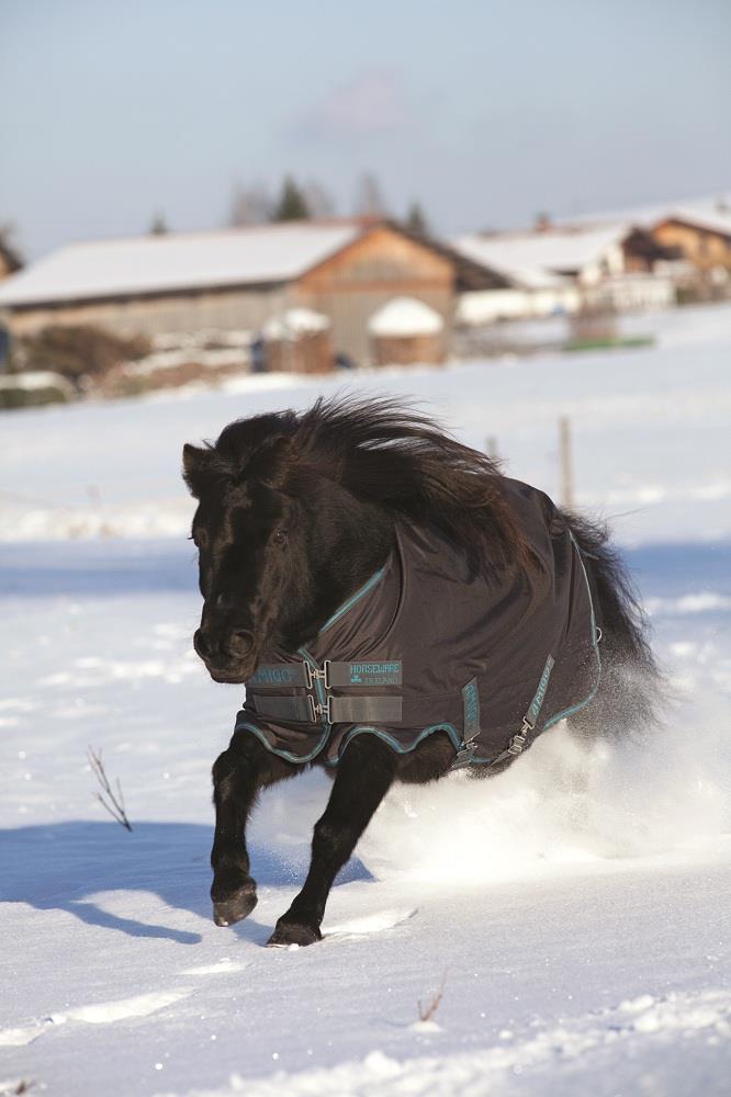 Horseware Amigo Hero 6 Pony Medium Turnout Rug