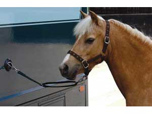 Aerborn Trailer Tie