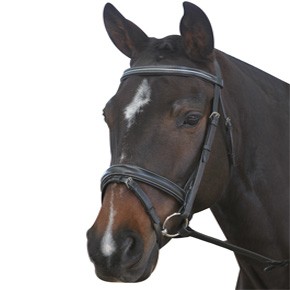 New Kincade Dressage Bridle with Reins