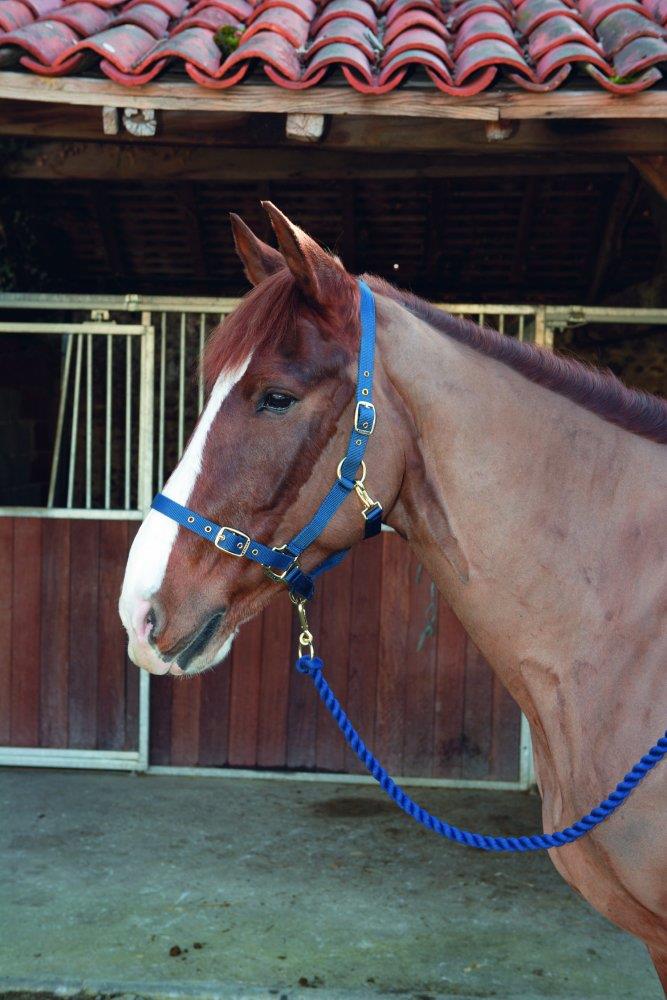 Shires Nylon Fully Adjustable Headcollar