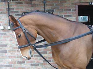 Aerborn Draw Reins