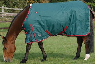 JHL Heavyweight Turnout Rug