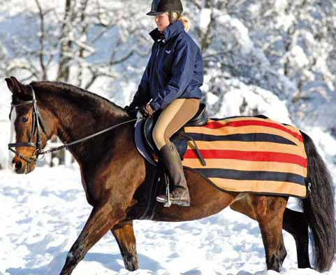 Rambo Newmarket Competition Exercise Sheet
