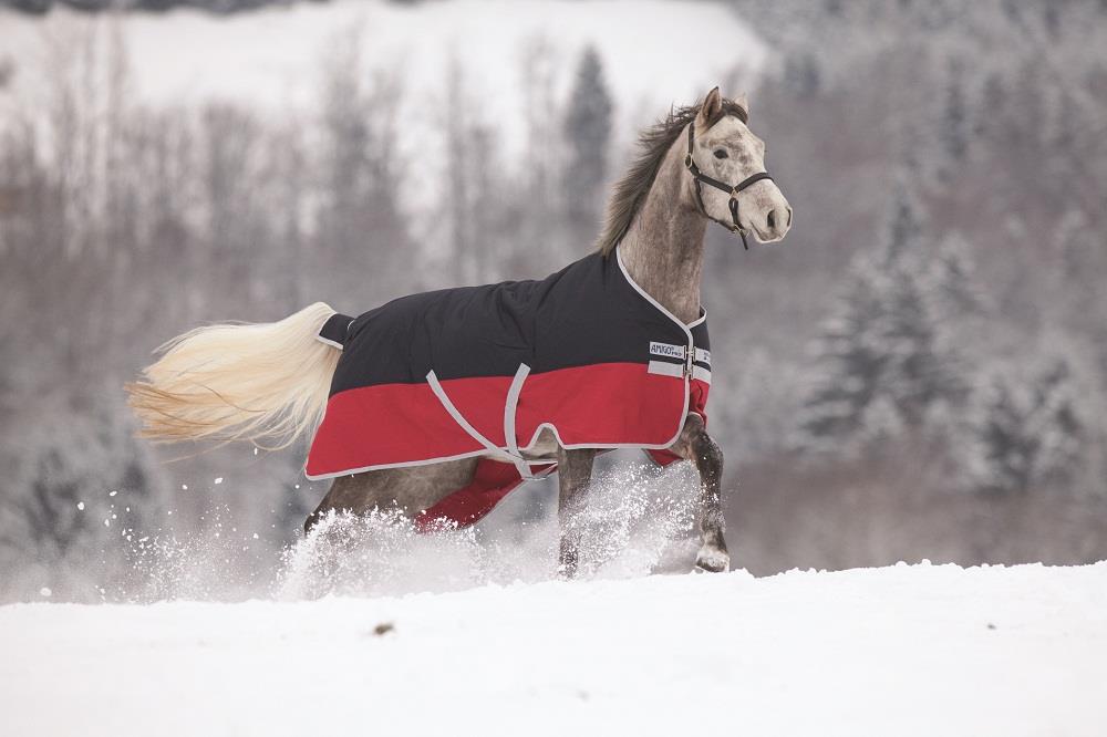 Horseware Rambo Amigo Mio Turnout Medium