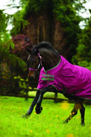 Horseware Amigo 600d - Pony Lite
