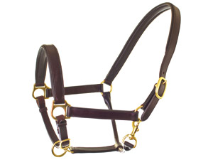 HyCLASS Leather Padded Head Collar