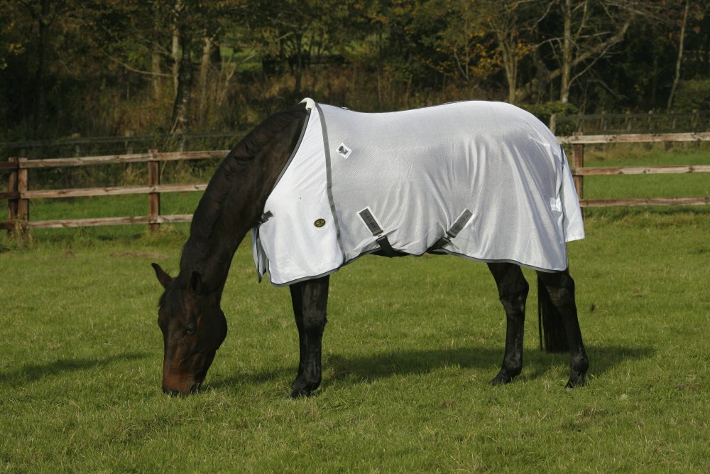 Mark Todd Fly Rug