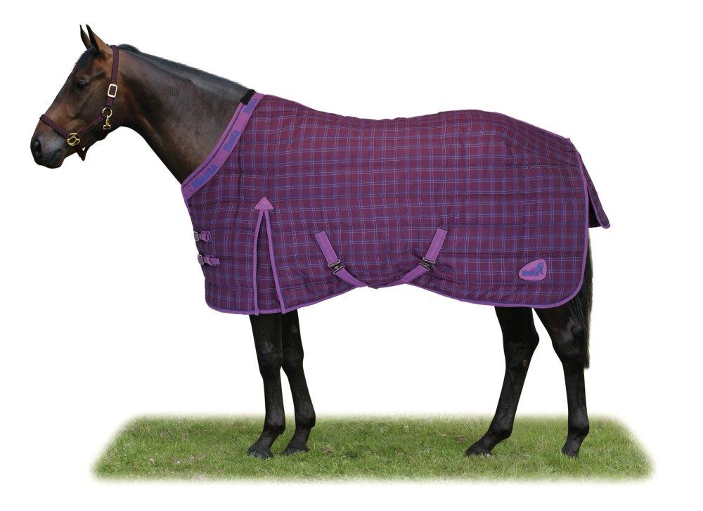 Masta Regal Light Stable Rug