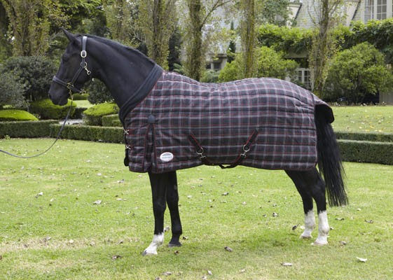 Weatherbeeta Highgrove Standard Neck Heavy Stable Rug OFFER!