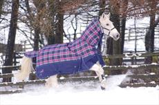 Masta Zing Medium Turnout Fixed Neck Check - SPECIAL!