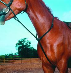 Shires Standing Martingale