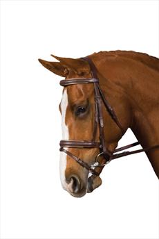 Collegiate Flash Crank Bridle