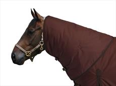 Masta Zing Heavy Turnout Neck Cover