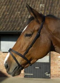 JHL Flash Noseband