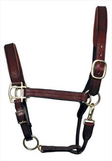 Mark Todd Leather Headcollar