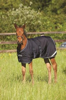 Horseware Amigo Adjustable Foal Turnout Rug