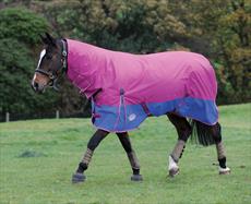 Weatherbeeta Landa Original Combo Lite Turnout Rug- Orchid/Royal 