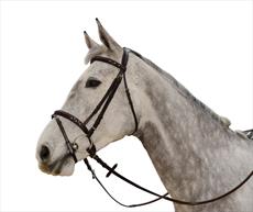 Cottage Craft Bling Snaffle Bridle