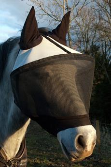 About Tack Fly Visor