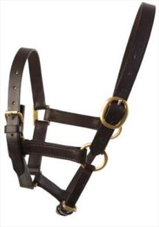 JHL Foal Fully Adjustable Leather Headcollar