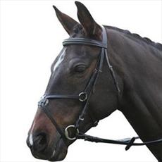 New Kincade Grackle Bridle with Reins