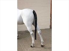 Hy Ripstop Tail Guard with Bag