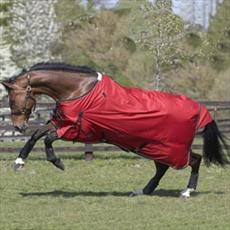 JHL Lightweight Turnout Rug Special Offer!