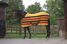 Masta Ascot Stripe Suede Fleece Rug