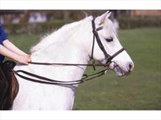 Aerborn Grass Reins