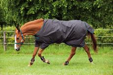 Horseware Rambo Amigo Turnout 600D Lite