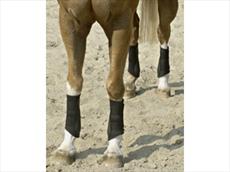 Equilibrium Tri-Zone Brushing Boots