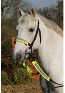 Luna Rider Reflective 4 Piece Bridle Kit