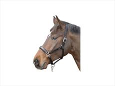 Cottage Craft Bling Headcollar