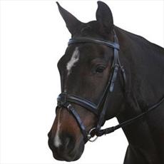 New Kincade Padded Headpiece Flash Bridle with Reins