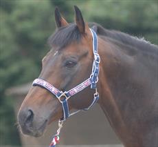 Cottage Craft Union Jack Headcollar & Lead Rope