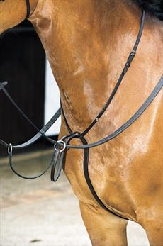 Running Martingale